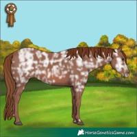Horse Color:Chestnut Ice 