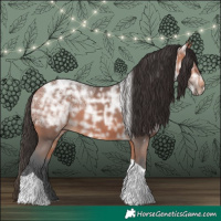 Horse Color:Bay Ice Tobiano 