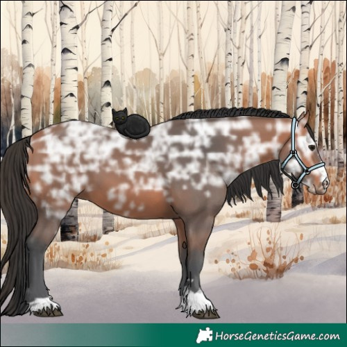 Horse Color:Bay Ice 