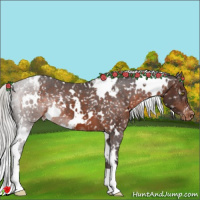 Horse Color:White Spotted Silver Brown Appaloosa