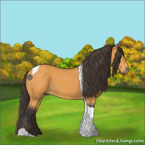 Horse Color:Buckskin Tobiano 