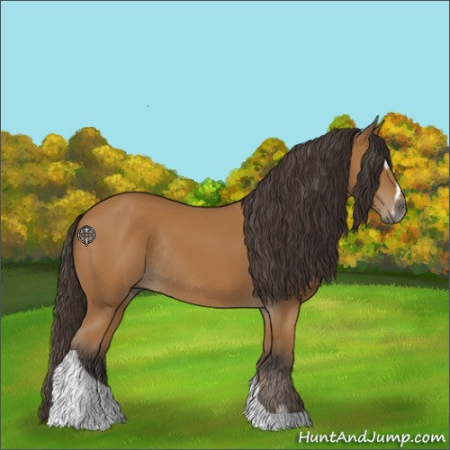 Horse Color:Buckskin Sabino Tobiano Rabicano 