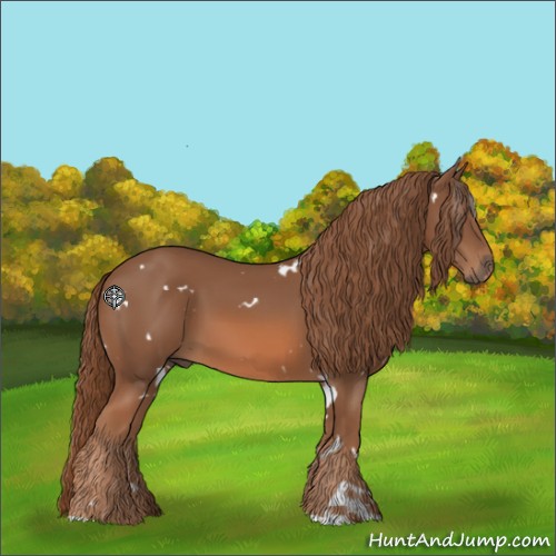 Horse Color:White Spotted Chestnut 
