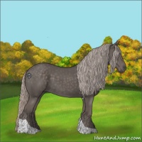 Horse Color:Silver Black Tobiano 