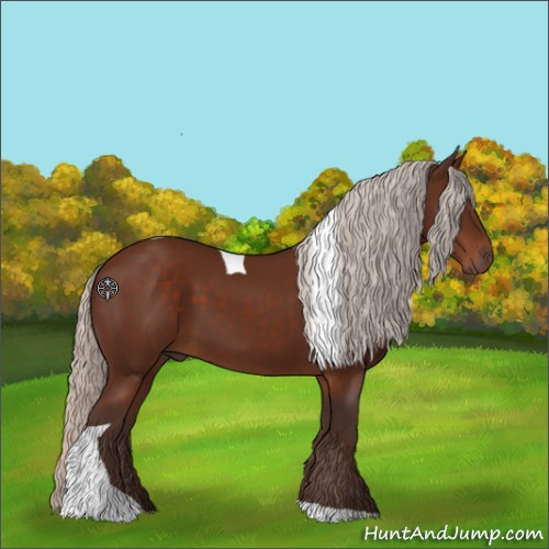 Horse Color:Silver Brown Tobiano 