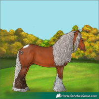 Horse Color:Silver Bay Tobiano 