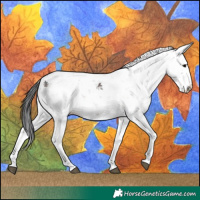 Horse Color:Brown Ice Sabino