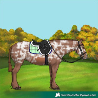 Horse Color:Chestnut Ice 