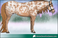 Horse Color:Chestnut Ice 
