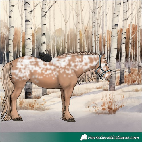 Horse Color:Chestnut Ice