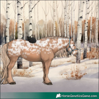 Horse Color:Chestnut Ice 