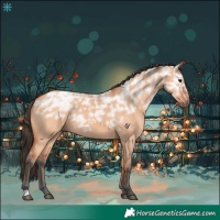 Horse Color:Bay Ice Dun 