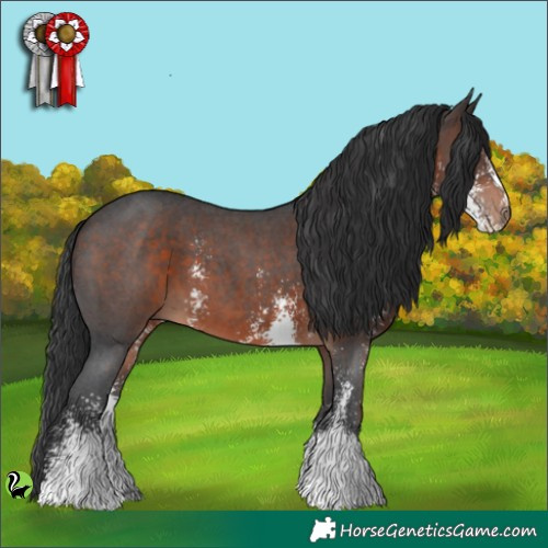 Horse Color:Brown Sabino 