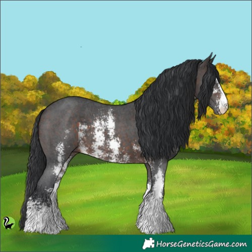 Horse Color:Brown Sabino 