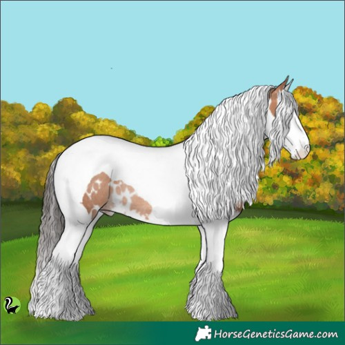 Horse Color:White Spotted Sable Champagne Splash Tobiano Rabicano 