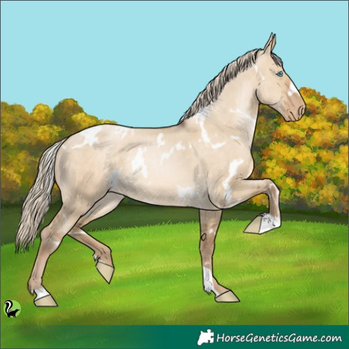 Horse Color:White Spotted Chocolate Palomino Pearl Dun 