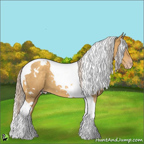 Horse Color:White Spotted Gold Cream Champagne Tobiano 
