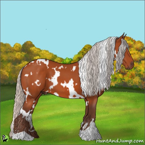 Horse Color:White Spotted Silver Bay 