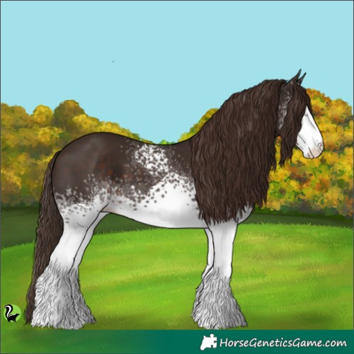 Horse Color:White Spotted Liver Chestnut 