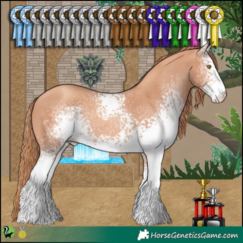 Horse Color:White Spotted Gold Champagne 
