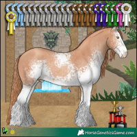 Horse Color:White Spotted Gold Champagne