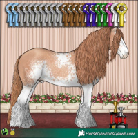 Horse Color:White Spotted Gold Champagne 
