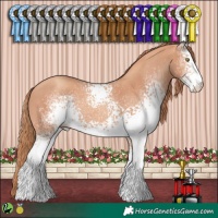 Horse Color:White Spotted Gold Champagne 