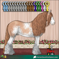 Horse Color:White Spotted Gold Champagne 