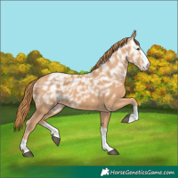 Horse Color:Chestnut Ice 