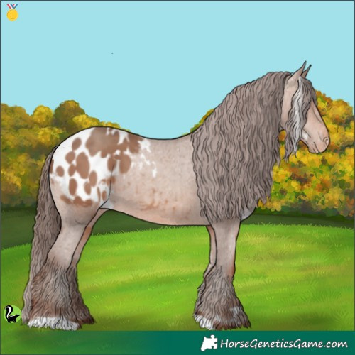 Horse Color:White Spotted Sable Champagne Appaloosa 