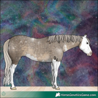 Horse Color:Silver Smoky Grullo Sabino Splash