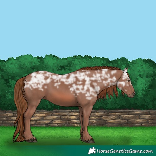 Horse Color:Chestnut Ice 