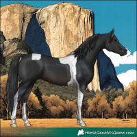 Horse Color:Brown Tobiano 