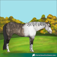 Horse Color:Brown Ice Dun 