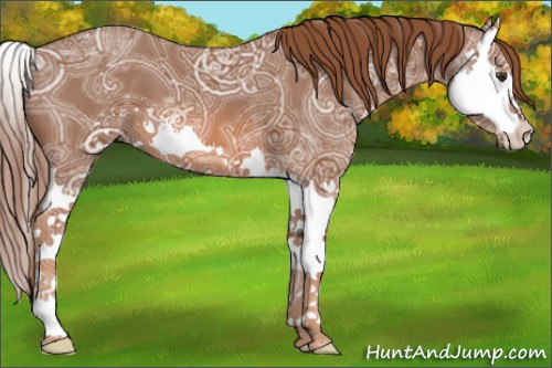 Horse Color:Chestnut Ice Sabino Splash