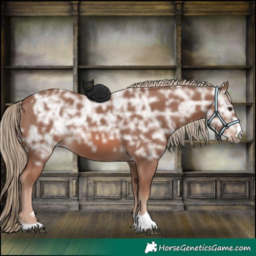 Horse Color:Chestnut Ice 