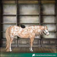 Horse Color:Chestnut Ice 