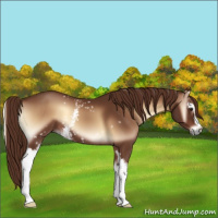 Horse Color:White Spotted Red Onyx 