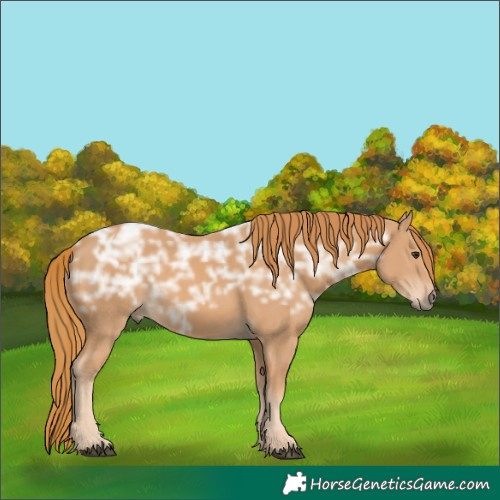 Horse Color:Chestnut Ice 