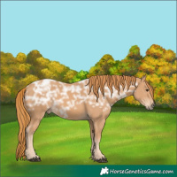 Horse Color:Chestnut Ice 