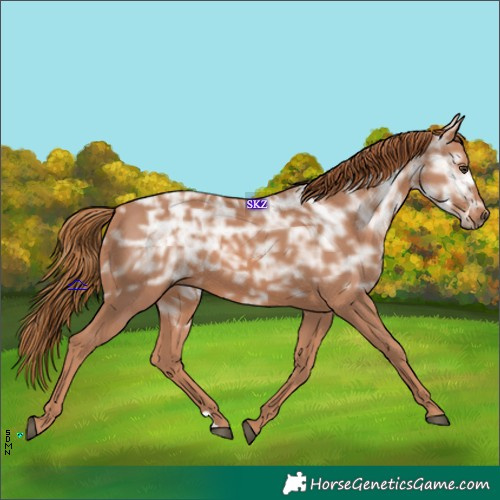 Horse Color:Chestnut Ice 