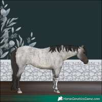 Horse Color:Buckskin Roan Tobiano 