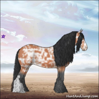 Horse Color:Bay Ice 