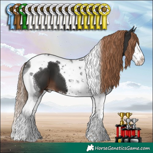 Horse Color:Liver Chestnut Splash Tobiano 