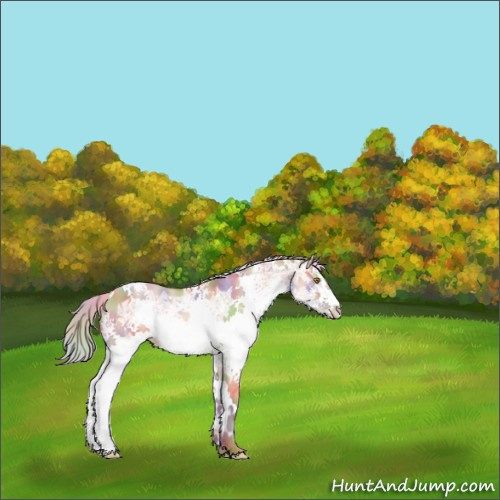 Horse Color:Nacre White Spotted Chocolate Silver Classic Champagne Ice Dun 