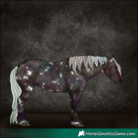 Horse Color:White Spotted Midnight Silver Brown Dun Rabicano 