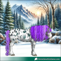 Horse Color:Painted White Spotted Midnight Silver Black Ice Sabino Near Leopard Rabicano 