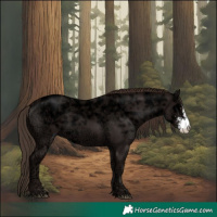 Horse Color:Liver Chestnut Ice Sabino 