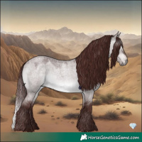 Horse Color:Gray Platinum Chocolate Brown Roan Dun Appaloosa 