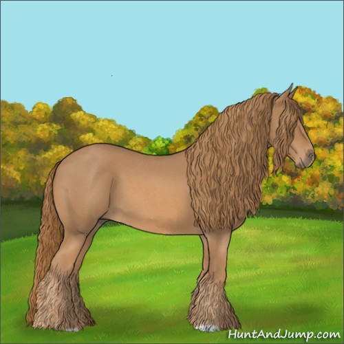 Horse Color:Red Roan 